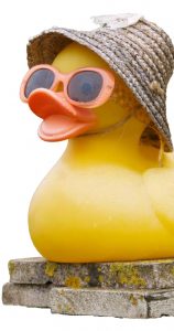 Port City Duck Race - Ducklings For Hope